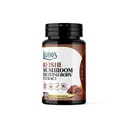 Reishi Mushroom Supplement Capsules - Organic - Made in USA - Fruiting Bodies Extract - 1000 mg, 30% Polysaccharides - Immune Support & Stress Relief - As Reishi Powder - 60 Capsules