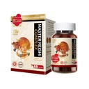 NOTO Master Reishi Mushroom Lingzhi Supplement Spore Capsule, Natural Pure Antioxidant Fungus Extract for Energy Immune Support Wellness