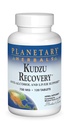 Planetary Herbals Kudzu Recovery 750 mg Anti-Alcohol and Liver Support - 120 Tablet