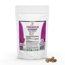 Pure Forskolin Extract Supplement with Potent Coleus Forskohlii 20% Štandardizovaný 1 000 mg pre vylepšenú energiu - Rastlinné energetické doplnky pre ženy a mužov - 100 Veggie Kapsule