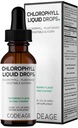 Kódovanie Chlorofyl Liquid Drops Supplement - Vegan Chlorofyl 50 mg per Serving, Organic Peppermint Flavor Clorofila Drink - Non-GMO, Gluten-Free, Vegan - 2 fl oz