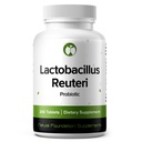 Lactobacillus Reuteri Probiotic Supplement 240 Tablety 3 Milión CFU Probiotiká pre mužov a ženy Podpora Intestinálna trávenie a zdravie Gut (240, Lactobacillus Reuteri)