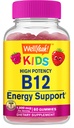 WellYeah vitamín B12 Gummy pre deti - Boost Energy, zlepšiť funkciu mozgu, a posilniť imunitný systém - Non-GMO, Gluten-free - skvelá chuť Berry Flavor - Ľahko žuvať - 60 Gummies