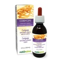 Naturalma Cordyceps (Cordyceps sinensis) Fungus alebo Huba Alkohol-Free Tinture - 4 fl oz Tekutý extrakt v kvapkách - Bylinné doplnky - Vegan