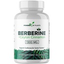 Pure Berberine Supplement - 1300mg Berberine with Ceylon škorica for Metabolic & Immune System Support - 60 Servings