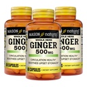 MASON NATURAL whole Herb Ginger 500 mg, 6 mesiacov dodávky, prírodné bylinné doplnky, 60 kapsúl (3 balenia)