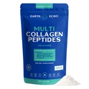 Earth Echo Multi Collagen Peptidy, Hydrolyzovaný kolagén s vitamínom C a kyselinou hyalurónovou, podporuje Radiant kože, zdravé kĺby, Gut zdravie a imunitné funkcie, Mliečne, 26 Servisov