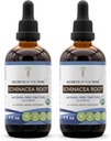 Echinacea Root USDA Organic Tinture 