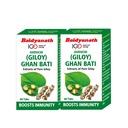 Baidyanath Giloy Ghan Bati 60 Tablets | Boosts Immunity & Digestion | Ayurvedic Guduchi Tablets for Fever, Detox, Acidity & Skin | Herbal Supplement for Health & Wellness | (Pack of 2)