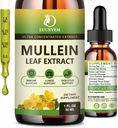 (2 balenia) 98% Absorpcia Mullein kvapky pre Pľúca, Výkonný 5 v 1 Mullein Leaf Herbal Blend extrakt, Prírodné Pľúca podpora doplnok pre Pľúca Čistenie a Detox a respiračné pľúca zdravie