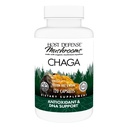 Host Defense Chaga Kapsule - Imunitný systém Suplement - Chaga Mushroom Kapsule od Antioxidant Activity Support - Dietary Mushroom Supplement - 120 Kapsule (60 Servings)