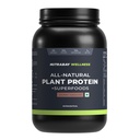 Nutrabay Wellness All Natural Plant Protein 24g Protein per Serving, Pea & Brown Rice, Sweetened with Stevia – 1kg, Gourmet Chocolate