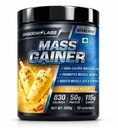 Mass Gainer Protein Powder 500g (Kesar)