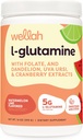 Wellah L-Glutamine Powder Watermelon Lime (50 Servings) - 5g L-Glutamine Per Serving, Sladené s Stevia