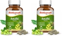 Baidyanath Amlaki (Amla) 60 Tablets - Natural Health Booster for Enhanced Hair, Skin, Digestive Health, Metabolism Support and Sugar Level Management (Pack of 2)