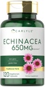 Carlyle Echinacea 