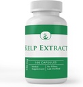 PURE ORIGINAL INGREDIENTS Kelp Extract, (100 Kapsule), Pure, No Aditives Or Fillers, Lab Overified
