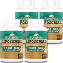 Spermidin Supplement 15 MG - 99% Čistota, vysoká absorpcia, 1500 MG fermentované pšeničné klíčky extrakt so zinkom a tiamínom, spermidin pre mužov a ženy - bunková obnova, starnutie obrany, energia, 240 softgelov