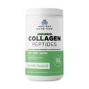Staroveká výživa Vegetarian Kolagén Peptidy, Kolagén Peptidy Powder, Kolagén Powder s prírodnou príchuťou, Prebiotiká a probiotiká, podporuje zdravú pokožku, vlasy, kĺby, zažívanie, 28 Servisov