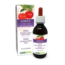 Naturalma Acerola (Malpighia glabra) Ovocný alkohol bez tinktúry - bohaté na vitamín C - 4 fl oz tekutý extrakt v kvapkách - Bylinné doplnky - Vegan