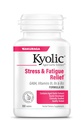 Kyolic Aged Cesnakový extrakt Formula 101, Stres a únavová úľava, 100 tabliet.