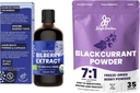 Džungle Powders Wild Brusnic Extract for Eyes USDA Organic 3.4oz Blackcurrant Powder Bundle Freeze Sused Black Currant Extract for Smoothies