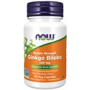 Teraz Foods Doplnky, Ginkgo Biloba 120 mg, Double Strength, Non-GMO Projekt Overené, 50 Veg Kapsule