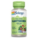 SOLARAY Hawthorn Berry kapsuly 1050 mg - Upokojujúca bylinná podpora - Hawthorne Berry doplnok pre celkovú Wellness podporu - celý Berry, Vegan, non-GMO, 60 dní záruka, 50 Servings, 100 VegCaps