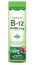 Príroda Pravda Sublingválny vitamín B-12 10 000 Mcg, Rýchle Acting Tekutina, Prírodné Berry Flavor, 2 Fluid Ounce (Stock of 1)