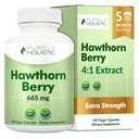 Čisto holistický Hawthorn Berry - 150 Vegan Kapsule - 5 mesiacov dodávky - vysoká sila 4:1 extrakt - Non-GMO Hawthorne Supplement - podporuje kardiovaskulárne a tráviace zdravie