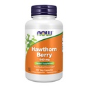 Teraz Foods Doplnky, Hawthorn Berry 540 mg, Free Radical Scavenger*, Bylinné doplnky, 100 Veg Kapsule