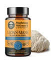 Hubové wellness Lion 