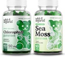 Voľne žijúce a organické chlorofyly Gummies a morské machy