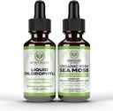 Benevolentné Chlorofyl Tekuté kvapky + Irish Sea Moss kvapky 2oz, 4 Mesiac Dodávka Tekutý Chlorofyl Supplement pre vnútorný dezodorant a radiant kože