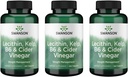 Swanson Lecithin Kelp B-6 & Cider Ocogar 240 Tablety (3 balenia)