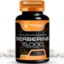 WELLNESS LABSRX Berberine Supplement 15,000mg - Berberine s cylonskou škoricou, Celková Wellness podpora Kapsule - 120 Kapsule (Pack of 1)