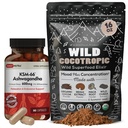 DailyNutra KSM 66 Ashwagandha (90 kapsúl) a Mushroom Cacao Mix (16oz) Bundle pre relaxáciu a zaostrovanie