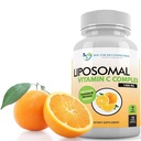 Lipozomálny vitamín C 1400mg na podanie - 180 Veggie Kapsule Vysoká absorpcia Kyselina askorbová, Lypo-Sférický vitamín C komplex Imunitná podpora doplnok s výkonnými antioxidantmi a Collagen Booster