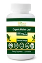 Organic Mullein Leaf 1500 mg Slúžiť 120 Rastlinné kapsule Vyrobené v USA
