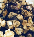 Organické jerusalem Artichoke Tubers (Helianthus tuberosus) - Sunchokes, Sunroot alebo Jerusalem Artichokes pre sadenie alebo jedenie - 5 Tubers by Smoke Camp Remeslo