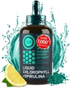 Liquid Chlorofyl kvapky s Spirulina pre vodu - plná sila energie, wellness, Imunitná podpora Supplement - 50mg Chlorofyl Liquid, 12,5mg Spirulina - Citron Flavor Detox Drink - 2oz, 118 Slúži