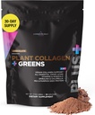 Livingood Daily Plant Collagen + Greens Powder, Chocolate, 5-in-1 Collagen Support with Pea Protein, Amino Acides, Spirulina, Chlorella & Vitamín C, Hair Skin Nails Support, Vegan, 30 Serviv