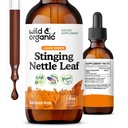 Wild & Organic Stinging Nettle Leaf Extract Drops - Urinary Tract Support - Liquid Stinging Nettle Supplement - Urtica Dioica Tinture - 2-Month Supply - Vegan, Cukor & Alkohol-free - 2 fl oz