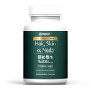 Wellgenix Purvana Max. vlasy, koža a nechty Vitamín: Biotín 5000mcg pre zvýšený rast vlasov, prevencia vypadávania vlasov pre ženy a mužov, Vegan, Ideálne pre Post Partum & PCOS, 90 Počet, Balenie 1