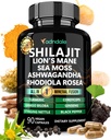 Adndale Shilajit Supplement. Pure Himalayan Organic Shilajit pre Muži a ženy Kapsule s morským Moss Ashwagandha Rhodiola Rosea Lion