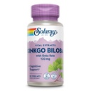 SOLARAY Ginkgo Biloba Extract with Gotu Kola - Ginko Biloba Kapsule od Brain Health Support - Vegan, Lab Overené, 60-dňová záruka - 60 Servings, 60 VegCaps (60 VegCaps)