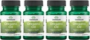 Swanson Oregano Oil 10:1 extrakt - Natural Supplement Propagation Digestive Health & Respiration Support - Podpora Gastrointestinálneho systému a močového traktu Tract Health - (120 Softgels, 150mg Each) (4 balenie)