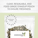 Evergreen Herb Cuachalalát Herb (Amphipetyglum Adstringens) - Odolný postaviť Púch na zabezpečenie čerstvosti! (Tea Bags)