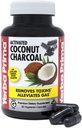 Yerba Prima Activated Coconut Charcoal, 60 Kapsule - Natural Detox - Vegetarian, Vegan, Gluten Free, Non GMO