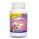 Arymar Chanca Piedra s brusnicou 